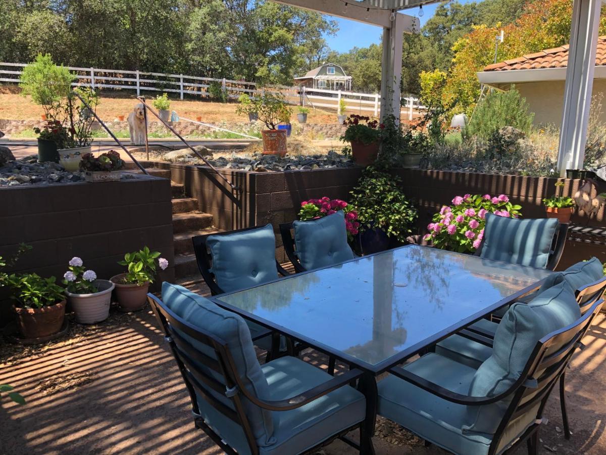 Amazing Loft On Horse Ranch Apartment Pilot Hill Exterior photo